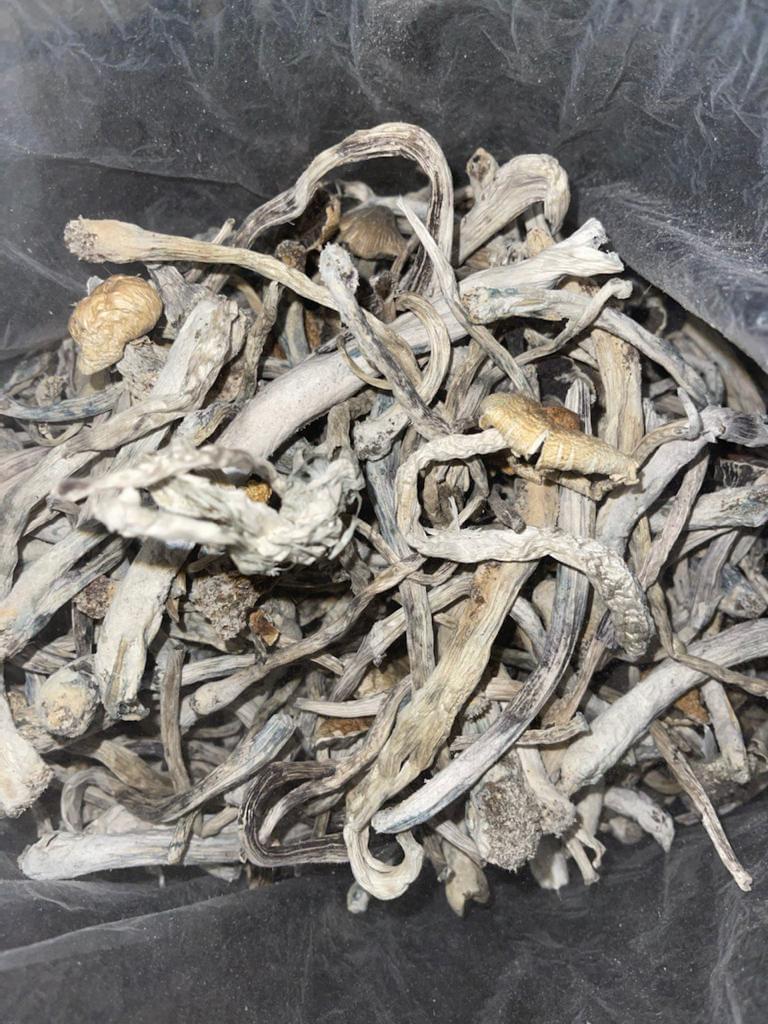 Buy Shrooms Online Buy Shrooms Online